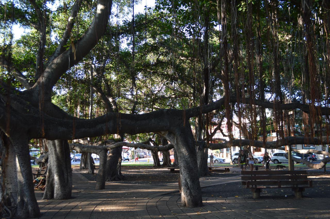 Хостел The Lahaina Beach House Екстер'єр фото